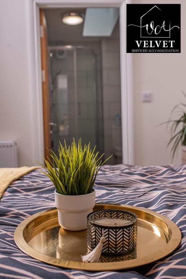 1 Bed House , Free Wifi,Free Parking,Leasure,Business Apartment Swansea Exterior foto