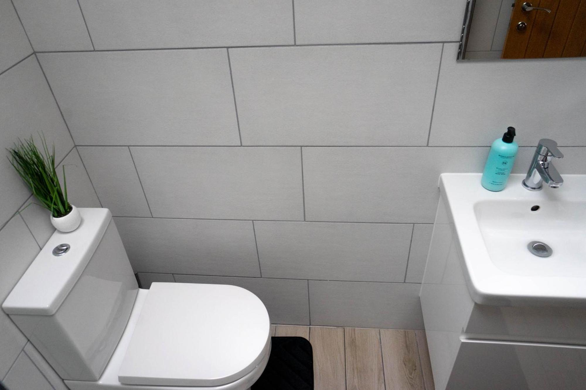1 Bed House , Free Wifi,Free Parking,Leasure,Business Apartment Swansea Exterior foto